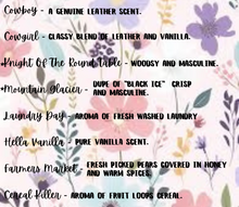 Load image into Gallery viewer, Book Stack Freshie
